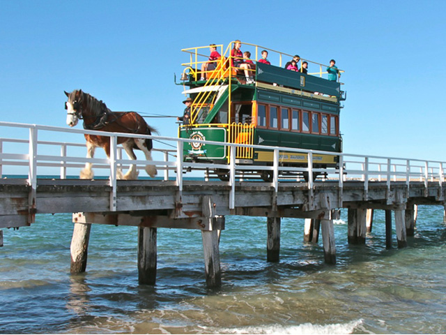 Horse drawn tram at Victor Harbor